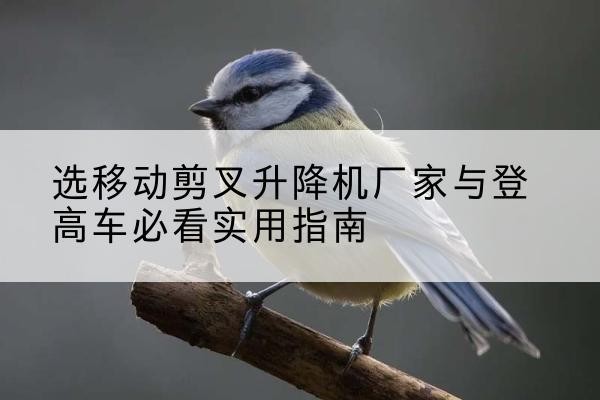 天心电动升降机厂家-选移动剪叉升降机厂家与登高车必看实用指南