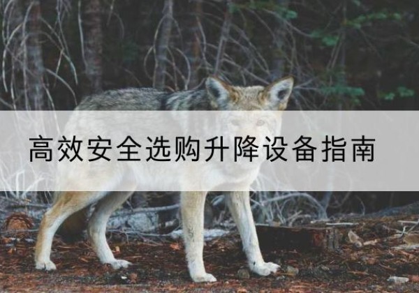 天心升降货梯厂家推荐-*安全选购升降设备指南